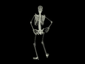 Skeleton Rigged 3D Animations Set 7 - 25 in 1 3D Model