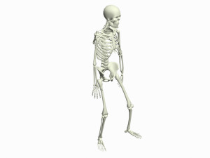 Skeleton Rigged 3D Animations Set 7 - 25 in 1 3D Model