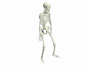 Skeleton Rigged 3D Animations Set 7 - 25 in 1 3D Model