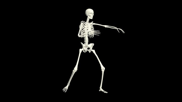 Skeleton 3D Animation - Arms Hip Hop Dance Model 3D .c4d .max .obj .3ds .fbx .stl .blend 