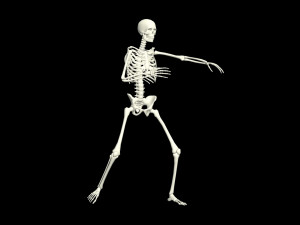 Skeleton 3D Animation - Arms Hip Hop Dance 3D Model