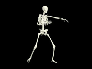 スケルトン 3D アニメーション - 腕ヒップホップ ダンス 3Dモデル