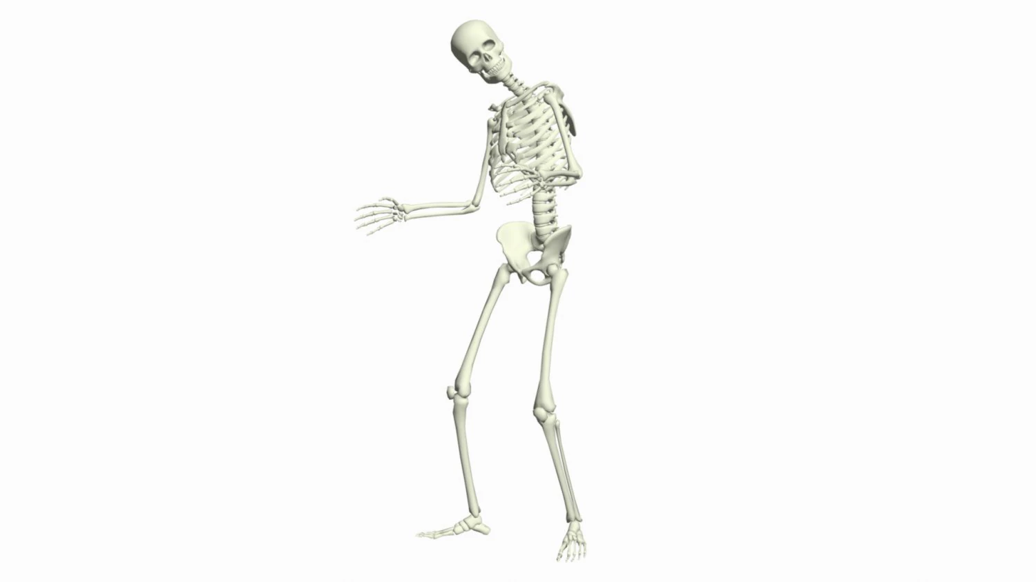 Skeleton 3D Dance Animation 3D Model .c4d .max .obj .3ds .fbx .stl .blend 
