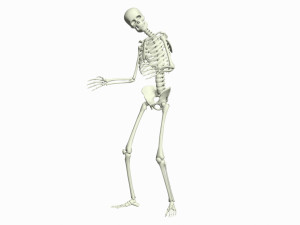 Skeleton 3D Dance Animation 3D Model