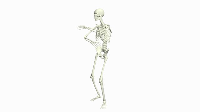 Skeleton 3D Dance Animation Model 3D .c4d .max .obj .3ds .fbx .stl .blend 