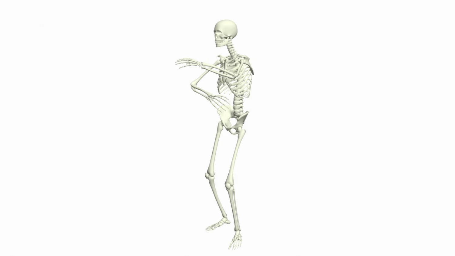 Skeleton 3D Dance Animation 3D Model .c4d .max .obj .3ds .fbx .stl .blend 
