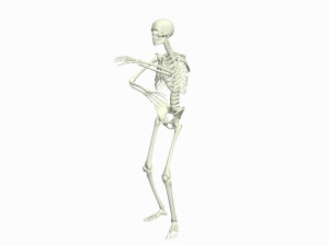 Skeleton 3D Dance Animation 3D Model