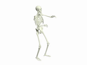 Skeleton 3D Dance Animation 3D Model