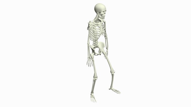 Skeleton 3D Dance Animation 3D Model .c4d .max .obj .3ds .fbx .stl .blend 