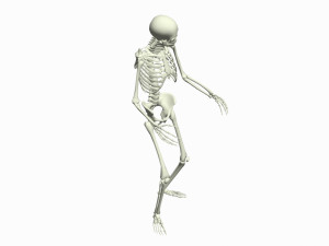 Skeleton 3D Dance Animation 3D Model