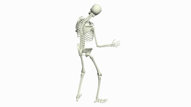 Skeleton 3D Dance Animation 3D Model .c4d .max .obj .3ds .fbx .stl .blend 