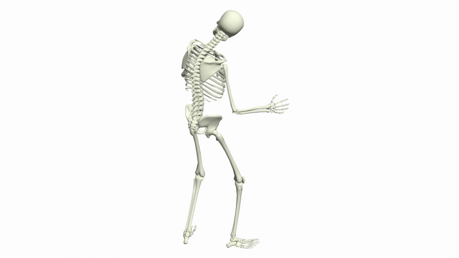 Skeleton 3D Dance Animation 3D Model .c4d .max .obj .3ds .fbx .stl .blend