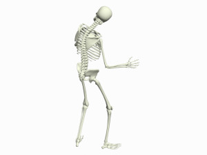 Skeleton 3D Dance Animation 3D Model