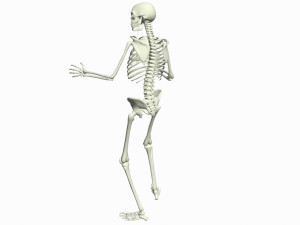 Skeleton 3D Dance Animation 3D Model