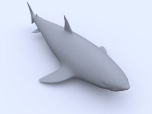 shark Model 3D
