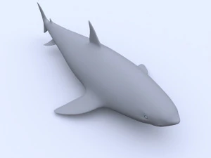 tubar&atilde;o Modelo 3D