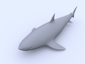 shark Model 3D