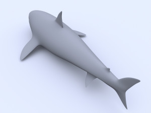 shark Model 3D