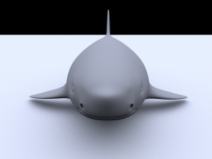 shark Model 3D
