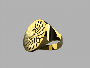 ring flower-sun Modèle 3D