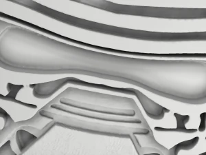 cailo ren mask ring 3D Model