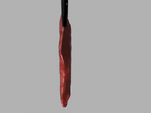 saurfang necklace Modelo 3D