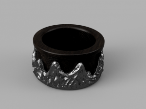 ring wild rocks 3D Model