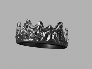 ring wild rocks Model 3D