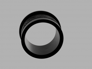 ring wild rocks Model 3D
