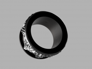 ring wild rocks Model 3D