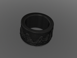 ring wild rocks Model 3D