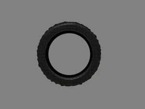 ring wild rocks 3D Model