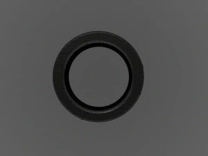 ring wild rocks 3D Model