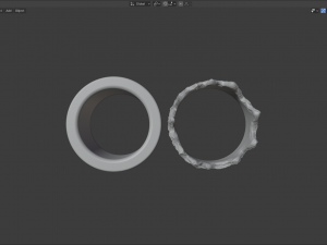 ring wild rocks Model 3D