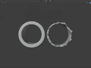 ring wild rocks 3D Model