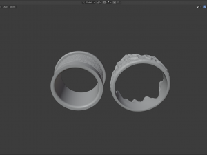 ring wild rocks Model 3D