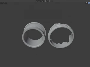 ring wild rocks 3D Model