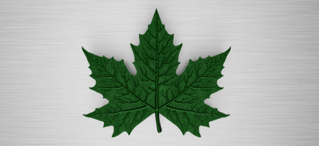 maple leaf 3Dモデル .c4d .max .obj .3ds .fbx .stl .blend 