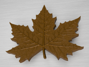 maple leaf 3Dモデル
