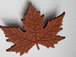 maple leaf 3Dモデル
