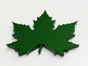 maple leaf 3Dモデル