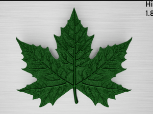 maple leaf 3Dモデル