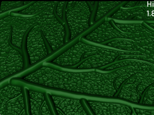 maple leaf 3Dモデル