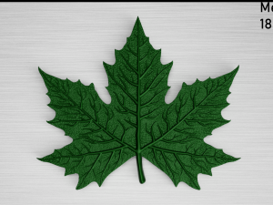 maple leaf 3Dモデル
