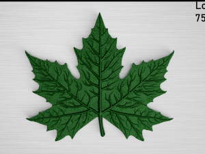 maple leaf 3Dモデル