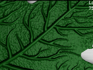 maple leaf 3Dモデル
