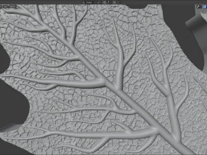 मेपल का पत्ता 3D मॉडल