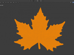 maple leaf 3Dモデル
