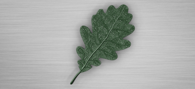 oak leaf 3D Model .c4d .max .obj .3ds .fbx .stl .blend 
