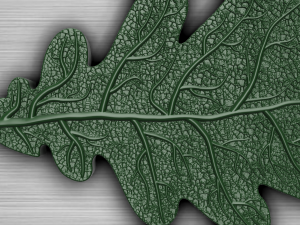 oak leaf 3D Model